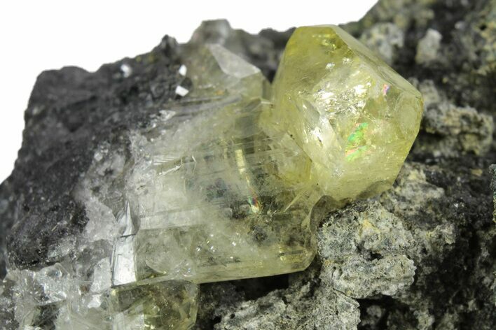 Glassy Yellow Anglesite Crystals on Galena - Morocco #251477